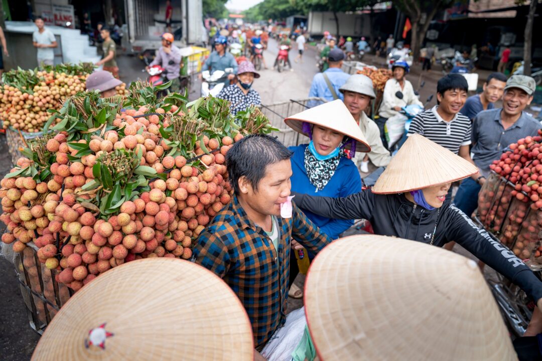 Bãi bỏ phí khai thác thông tin công chứng Đà Nẵng từ 10/8/2026 2 b i b ph khai th c th ng tin c ng ch ng n ng