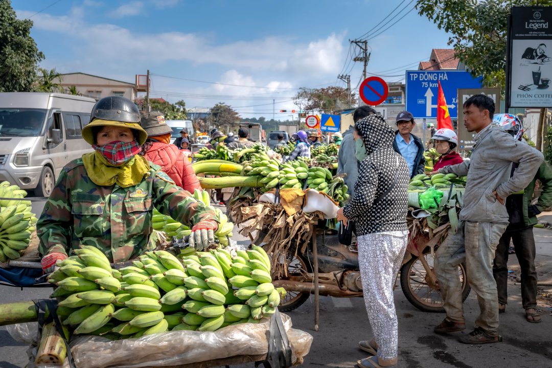 Bị tạm hoãn xuất cảnh vì nợ thuế doanh nghiệp ngừng hoạt động? Hướng dẫn hủy bỏ theo Công văn 4915/CT-NVT 2026