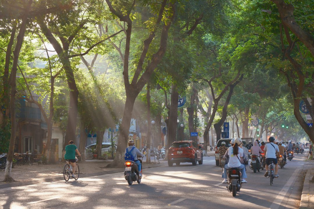 Hướng dẫn chi tiết Thông tư 20/2026/TT-BXD: Quản lý cảng thủy nội địa, bến thủy nội địa, khu neo đậu và hoạt động hoa tiêu